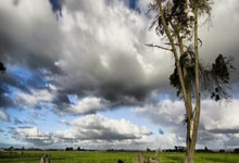 [德甲]奥尔莫精妙助攻 塞斯科头球梅开二度.